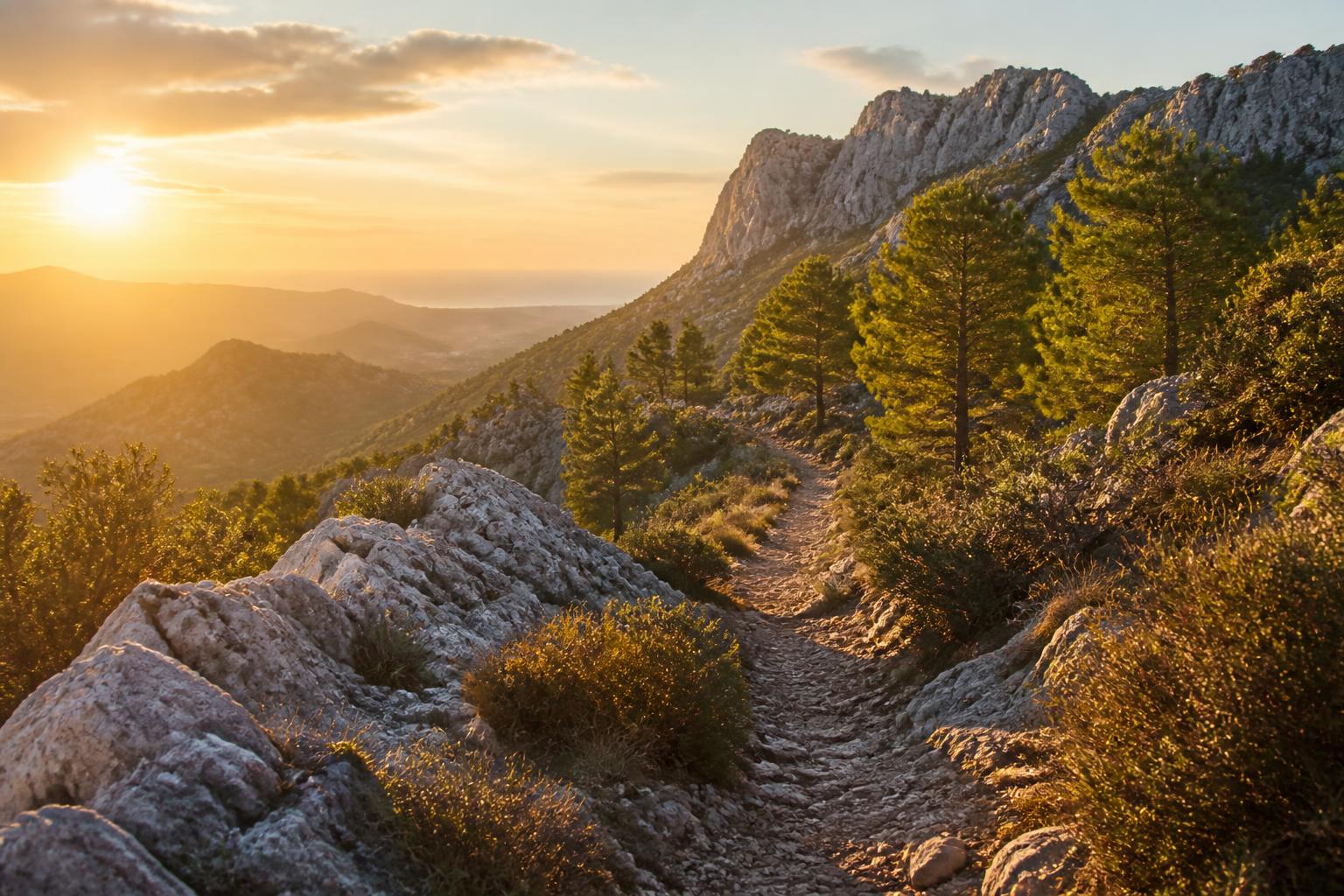 découvrez le massif de l’étoile, une escapade nature idéale pour explorer des panoramas à couper le souffle et des sentiers secrets hors des sentiers battus.