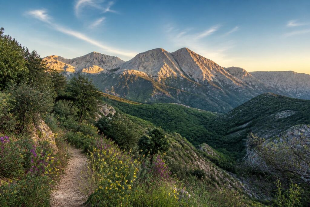découvrez le massif de l’étoile, une escapade nature idéale pour explorer des panoramas époustouflants et des sentiers secrets, parfaits pour les amoureux de randonnée et de paysages préservés.