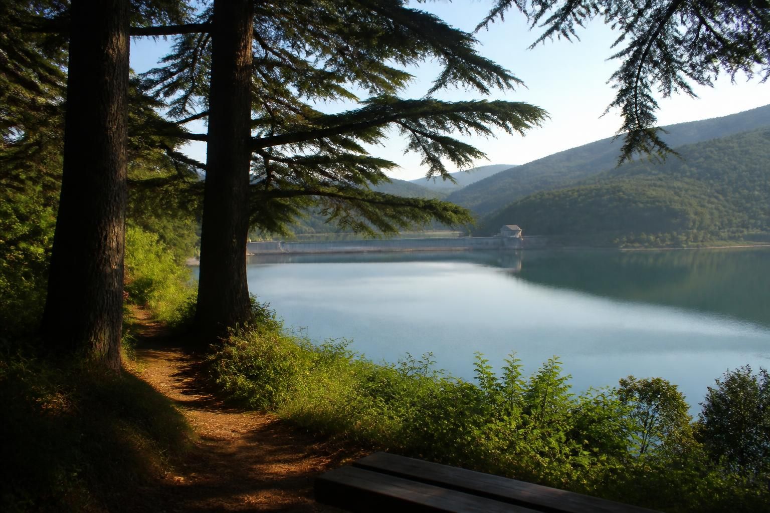 découvrez le barrage du ternay en rhône-alpes, une escapade nature idéale entre balades au bord de l'eau et randonnées pittoresques pour toute la famille.
