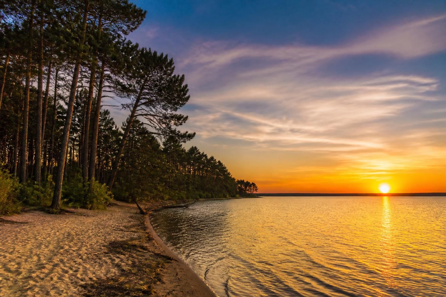 découvrez les impacts de la disparition du lac de sanguinet sur le terroir local et le tourisme, et comment cette transformation menace l'économie et l'environnement de la région.